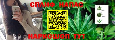дмт Заволжье