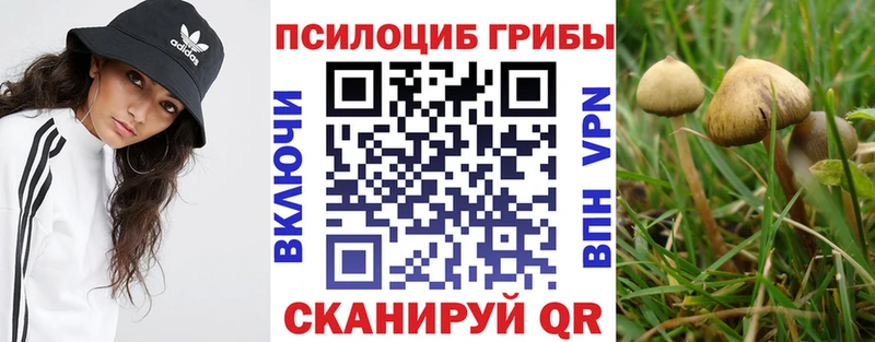 Галлюциногенные грибы прущие грибы  Нальчик 