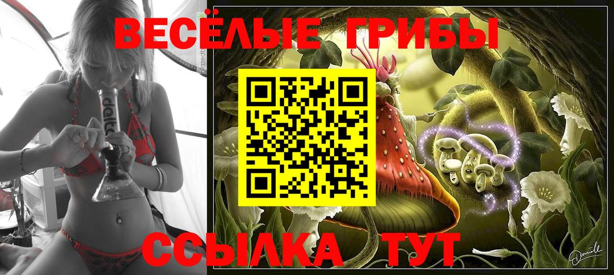 Нальчик  Псилоцибиновые грибы мицелий  где купить наркотик  Вход с VPN 