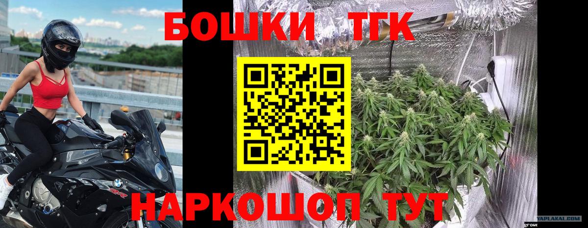 Канабис конопля Нальчик